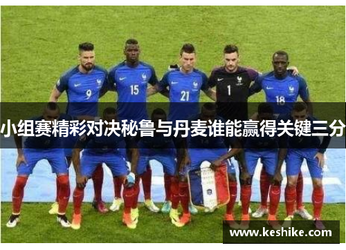 小组赛精彩对决秘鲁与丹麦谁能赢得关键三分